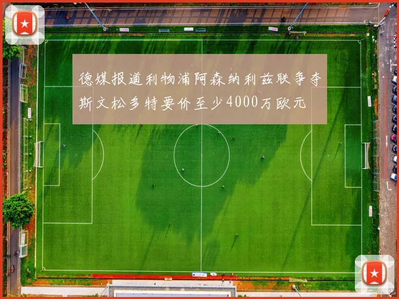 德媒报道利物浦阿森纳利兹联争夺斯文松多特要价至少4000万欧元