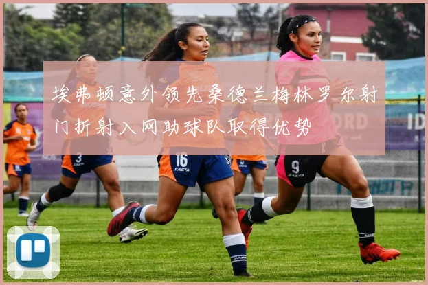 埃弗顿意外领先桑德兰梅林罗尔射门折射入网助球队取得优势