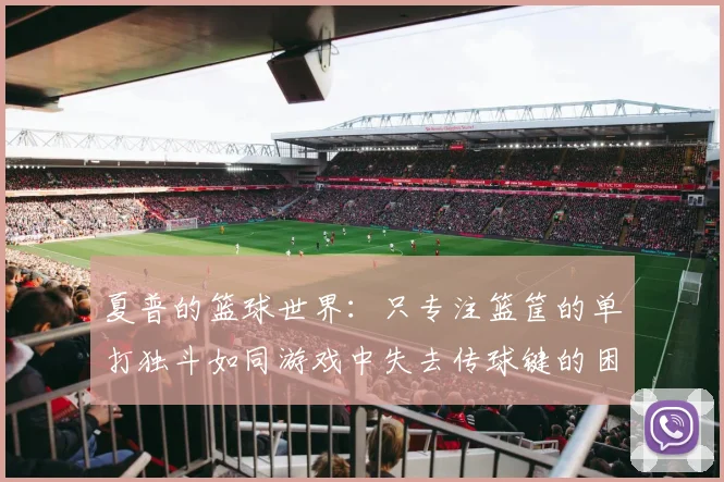 夏普的篮球世界：只专注篮筐的单打独斗如同游戏中失去传球键的困境